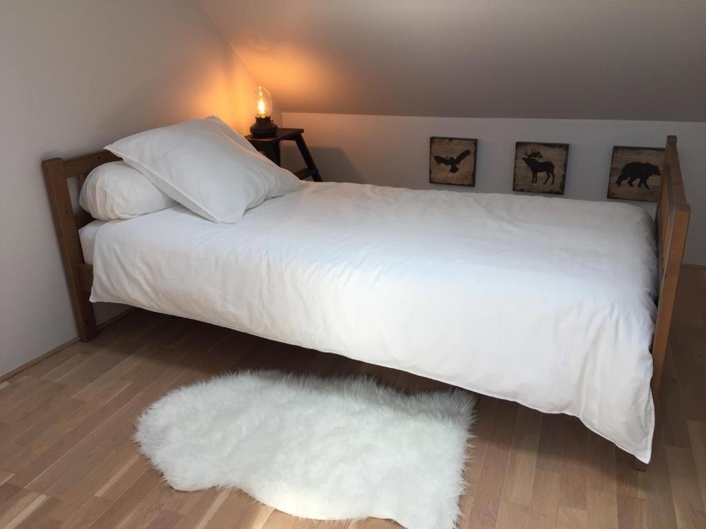 Un Figuier Dans Notre Jardin Villa Beaune-la-Rolande Kamer foto